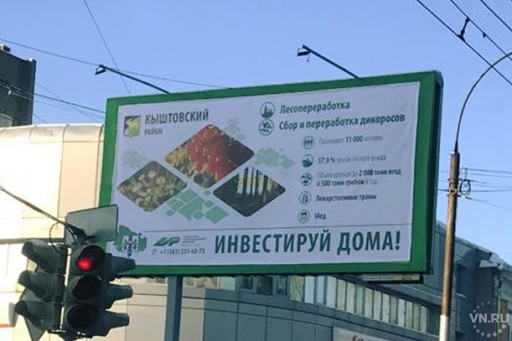 Инвестировать в грибы и ягоды призывают баннеры в Новосибирске