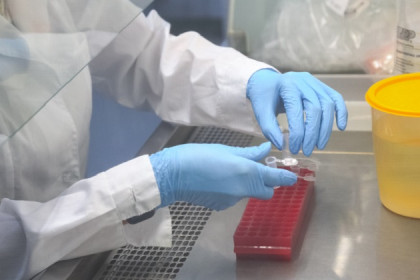 Тестов на коронавирус стали больше делать в регионе