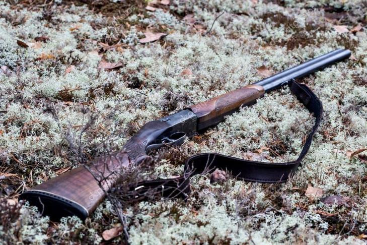 Всадник с ружьем убил беременную лосиху в Ордынском районе