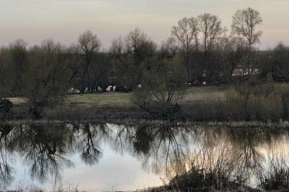 Молодой человек утонул в Новосибирской области