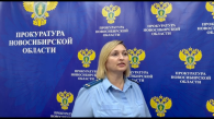 Работодатели из Новосибирска смогут получить субсидии на трудоустройство граждан