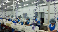 Новосибирская фирма увеличит производство рыбы для выхода на рынок Китая