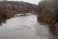 Вода в реке Тартас в Северном продолжает прибывать