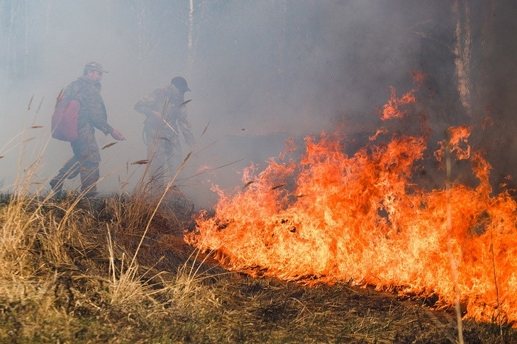Верховой пожар сбит в двух километрах от Мокрушино Тогучинского района