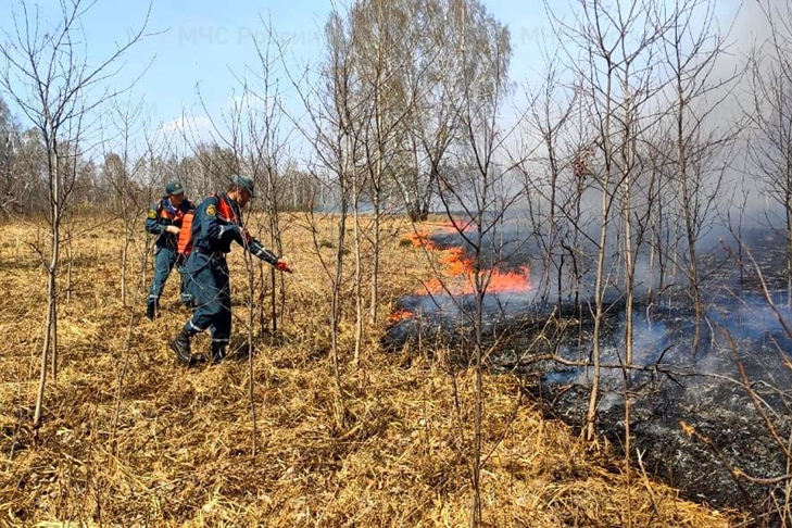 Деревню Мариинка эвакуировали спасатели в Новосибирской области из-за пожара