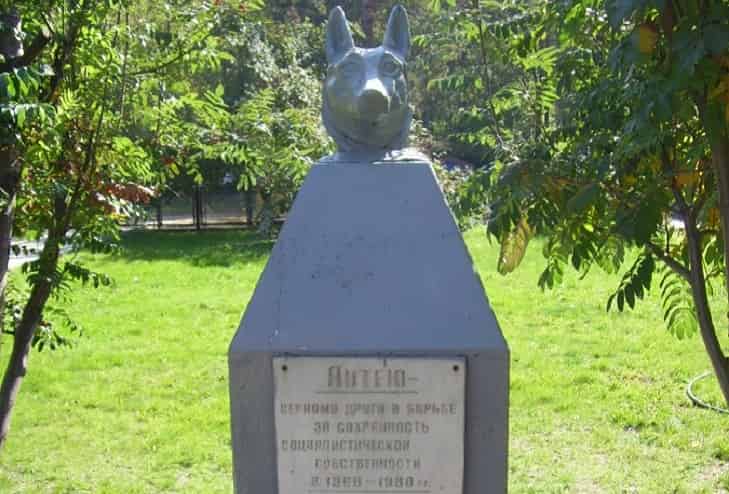 Памятнику псу по кличке Антей: какой подвиг он совершил в Новосибирске