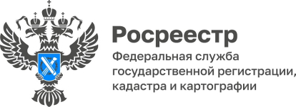 Деятельность Росреестра оценили новосибирцы