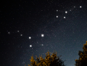 Новосибирцы с февраля смогут наблюдать за кометой с огромным пылевым хвостом