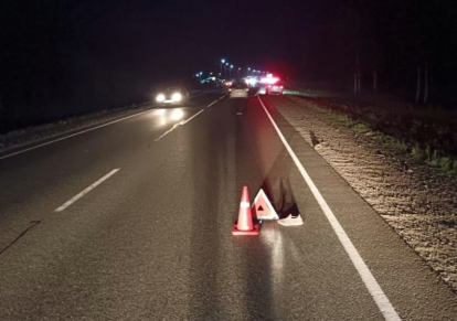 В Болотнинском районе пешеход погиб под колесами автомобиля