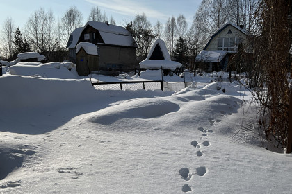 МТС прокачала мобильный интернет в селе рядом с Салаирским кряжем