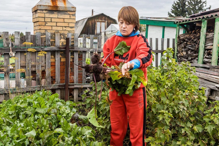 Вышел лунный календарь на май-2025 для дачников Новосибирска