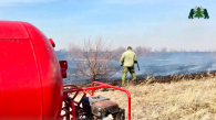 44 лесных пожара произошло в Новосибирской области с начала сезона