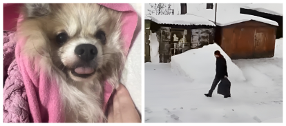 Спасение из сугроба: в Оби нашли собаку породы шпиц, выброшенную на верную гибель