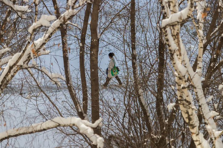 Новосибирским дачникам рассказали о последствиях снежной метели в апреле-2025