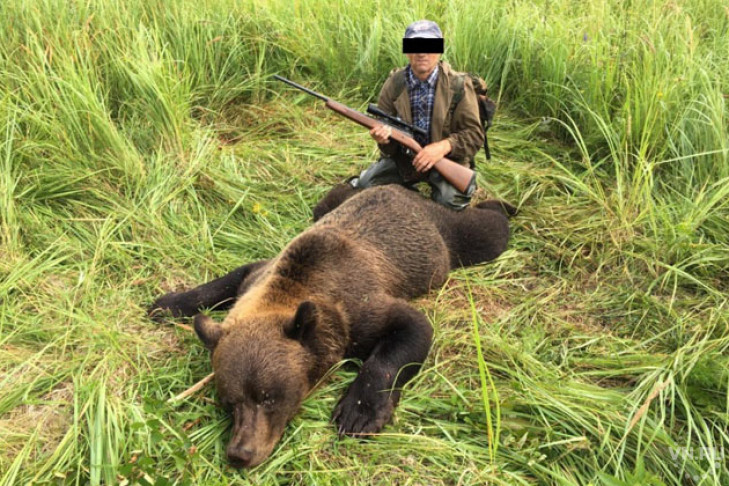 300 тысяч за селфи с мертвым медведем заплатил браконьер из Оби