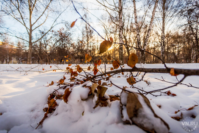 Зима в Новосибирске начнется с оттепели – прогноз погоды на начало декабря-2021