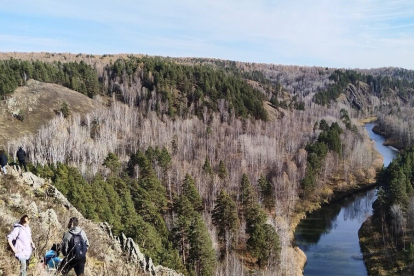В Новосибирске насчитали 240 туристических тайников, которые ищут по координатам