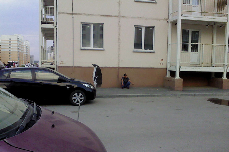 Бастрыкин вновь потребовал отчета по делу о «Дискусе»