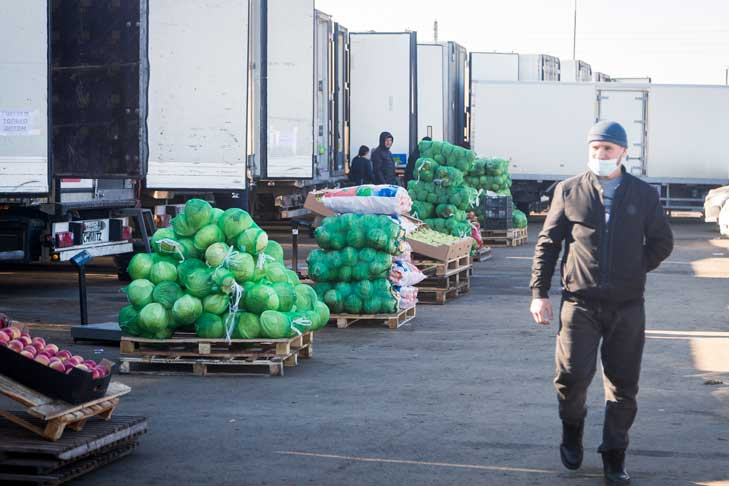 Цены на капусту и свеклу стали ниже в Новосибирской области
