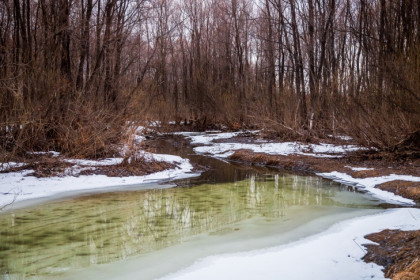О резком начале половодья с 25 марта предупредили синоптики новосибирцев