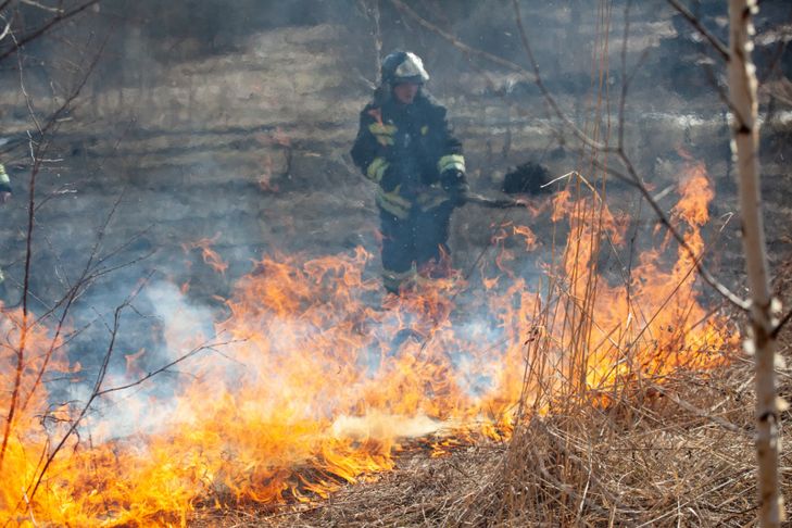 МЧС сообщает об угрозе перехода огня на поселения Искитимского района