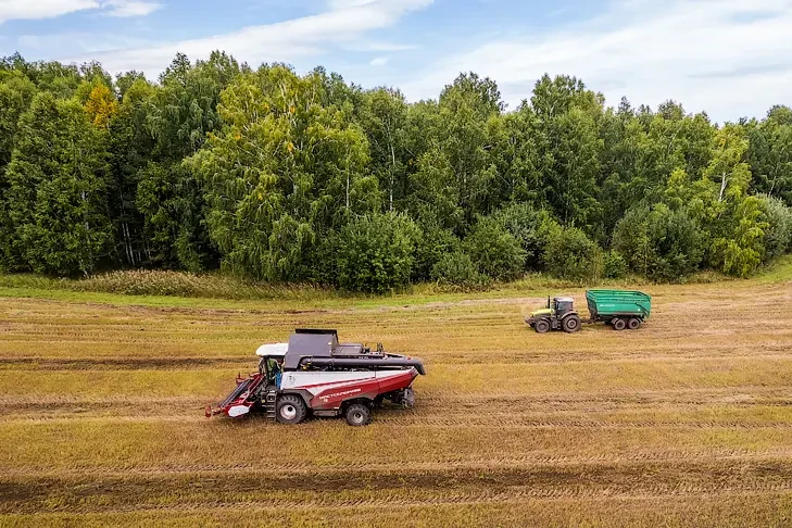 Первый млн тонн зерна намолотили в полях Новосибирской области осенью-2025