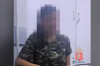 Подозреваемую в убийстве ребенка женщину нашли умные камеры Новосибирска