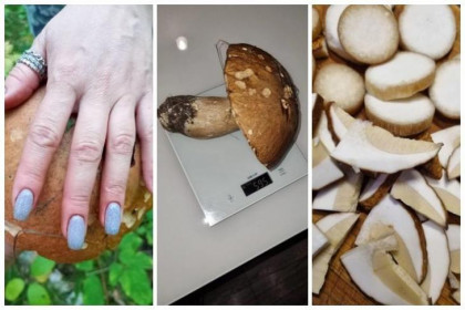 Белый гриб весом в полкило нашла на Первомайке жительница Новосибирска