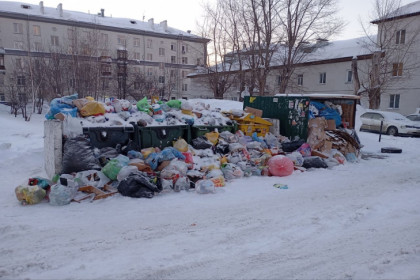 Районы в самым большим количеством новогоднего мусора назвали в Новосибирске