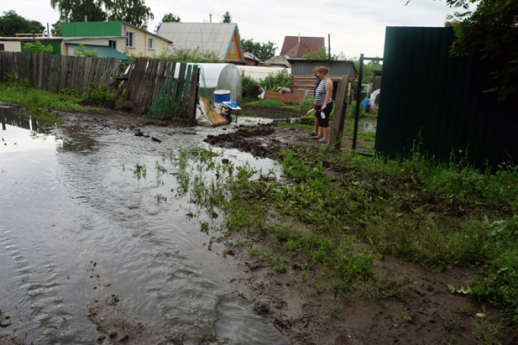 Потоки из канализации обрушились на огороды бердчан