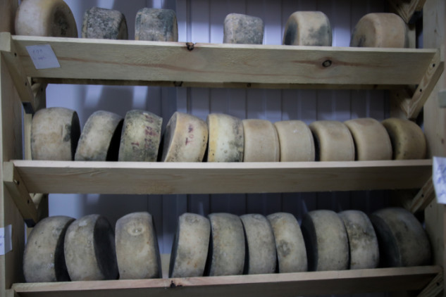 Сыр с кофе и черемухой: чем удивляют сыровары в Новосибирске