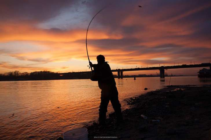 День рыбака-2024: Яндекс назвал самые рыбные места Новосибирской области