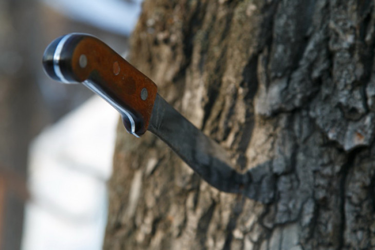 Ножом в голову ранил собутыльника мужчина в Новосибирске