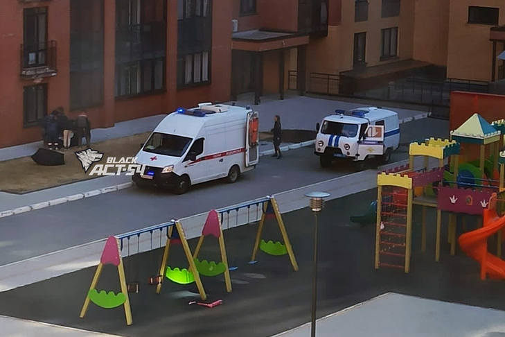 Парашютист с зонтом скончался по дороге в больницу Новосибирска