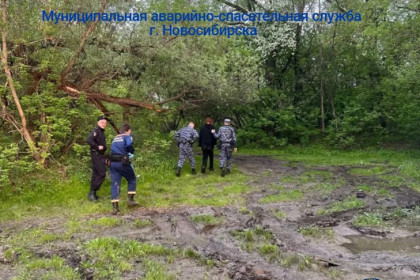 Спрыгнувшего с моста подростка нашли в кустах спасатели Новосибирска