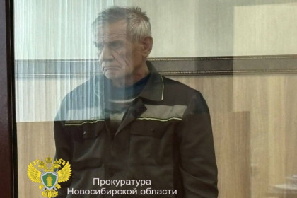 Виновного в смерти школьницы водителя КамАЗа взяли под стражу в Новосибирске