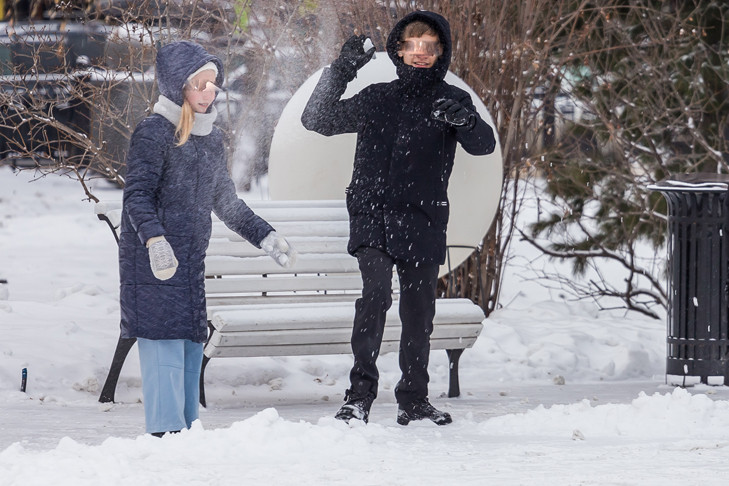 В Новосибирске подростки до крови закидали снежками семейную пару