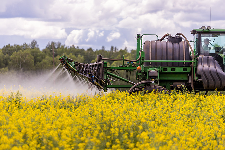 Авито Работа: средние зарплатные предложения в сельском хозяйстве Новосибирской области выросли на 25%