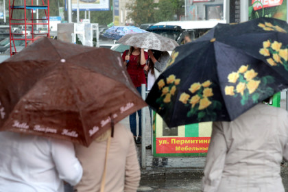 Погода 20-23 мая в Новосибирске: достаем зонтики