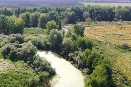 АО «Кудряшовское» обжалует решение о взыскании 2,3 млрд рублей за загрязнение воды и почвы