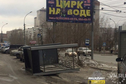 Ветер сдул холодильник, остановку и деревья в Новосибирске