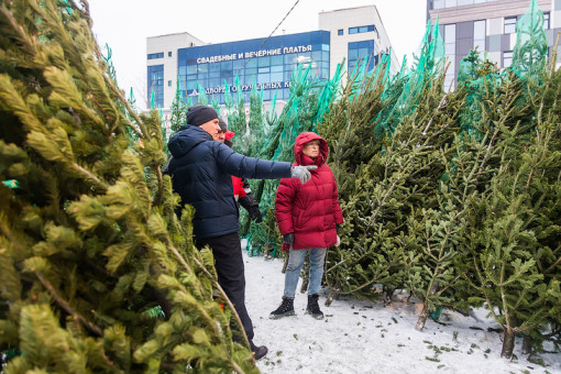 Лайфхаком по выбору новогодней ёлки поделился Роспотребнадзор