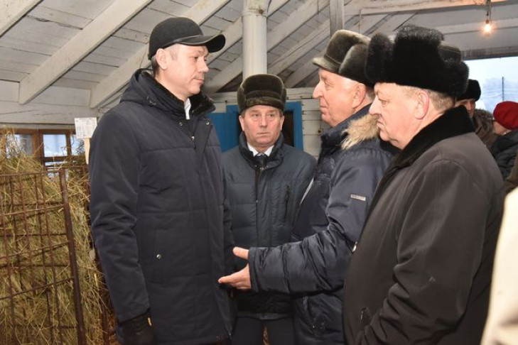 Андрей Травников осмотрел сельхозпредприятия Каргатского района