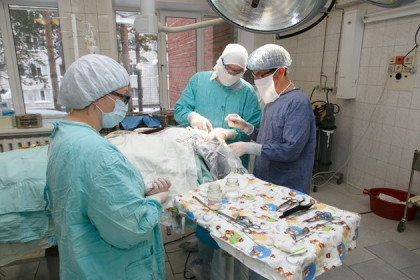 Щитовидную железу в 50 раз больше нормы оперировали в Новосибирске