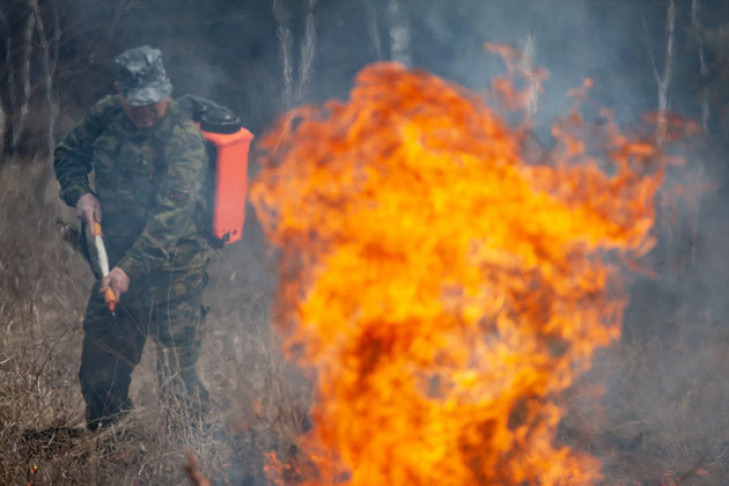 Более 260 тысяч рублей штрафов назначено жителям Новосибирской области за нарушение правил пожарной безопасности