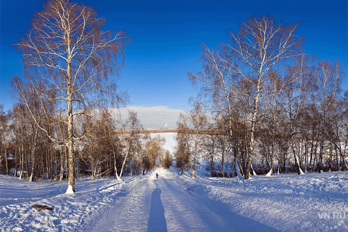 Погода в Новосибирске 3-9 января: морозы до -20 градусов на Рождество