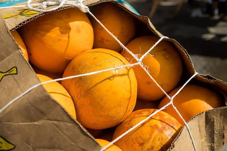 Диабетиков и беременных в Новосибирске предупредили об опасных свойствах дынь