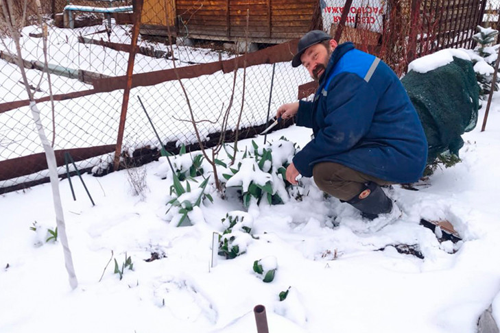 Новосибирские биологи рассказали о последствиях снежной бури в середине апреля