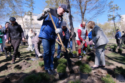 Новыми деревьями пополнился «Сад памяти» в Новосибирске на кануне Дня Победы 9 мая