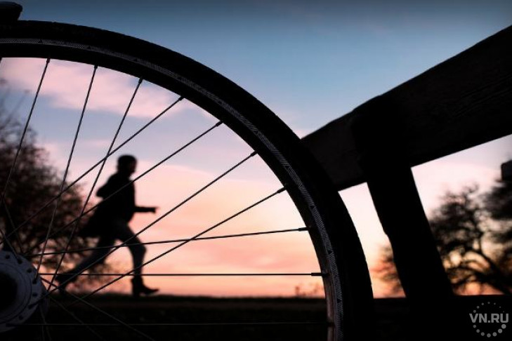 За велосипедами отправились в интернет новосибирцы 